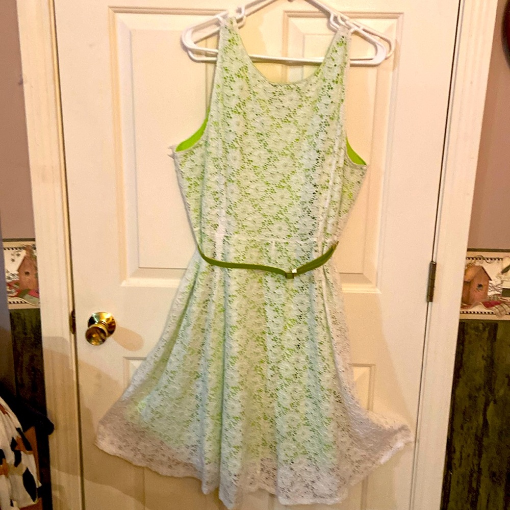Lane Bryant stretchy lace skater dress